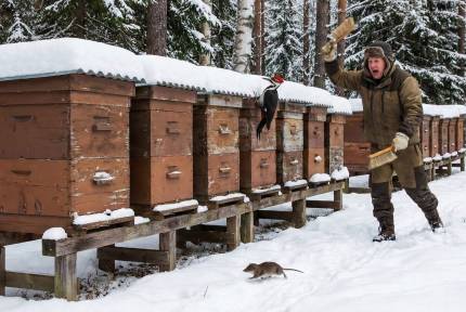 Kalendarium prosinec – ilustračná fotografia k článku „Kalendárium na december - čas pokoja a odpočinku“
