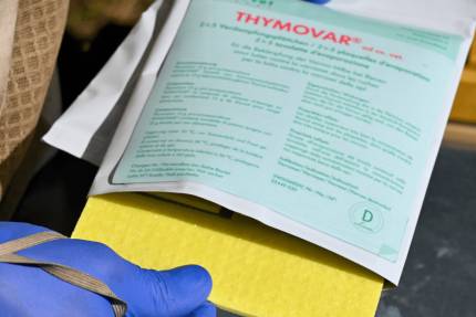 Thymovar zkusenosti – ilustračná fotografia k článku „Desať rokov skúseností s Thymovarom“