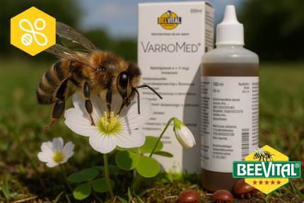 Varromed varroaza – ilustračná fotografia k článku „Návod na použitie prípravku VarroMed pre ošetrenie proti varroáze“