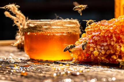 Vitaminy a mineraly v medu – ilustračná fotografia k článku „Je med skutočne významným zdrojom vitamínov a minerálov?“