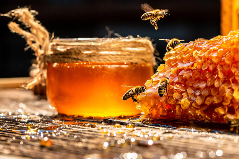 Vitaminy a mineraly v medu – ilustračná fotografia k článku „Je med skutočne významným zdrojom vitamínov a minerálov?“