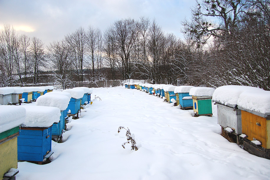 Kalendárium – február