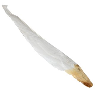 Husia brko na ometanie včelích rámikov