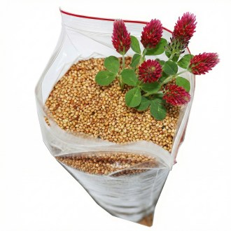 Ďatelina inkarnát - 0,5 kg