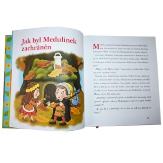 Medovníček a jeho nemocnica pre zvieratká - Jan Lebeda