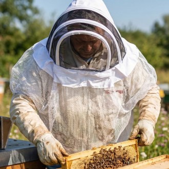 Ochranná kukla Mellarius so závojom