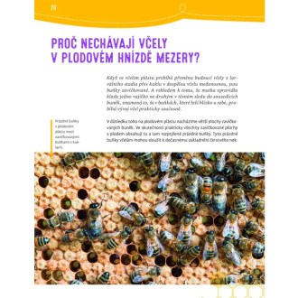 Prečo sa včelám potia nohy a počúvajú kolenom - Jürgen Tautz - CZ