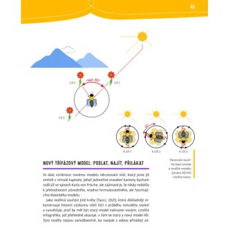 Prečo sa včelám potia nohy a počúvajú kolenom - Jürgen Tautz - CZ