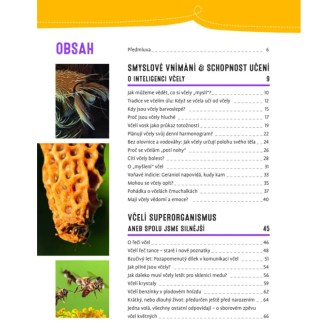 Prečo sa včelám potia nohy a počúvajú kolenom - Jürgen Tautz - CZ