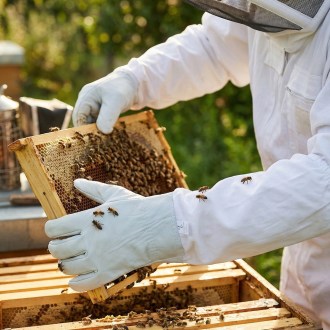 Rukavice včelárske - kozinka - vel.: S-XXL