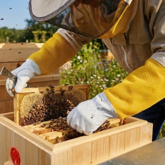 Rukavice včelárske - s vetraním - veľ.: S-XXL