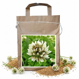 Ďatelina plazivá JURA - 1 kg