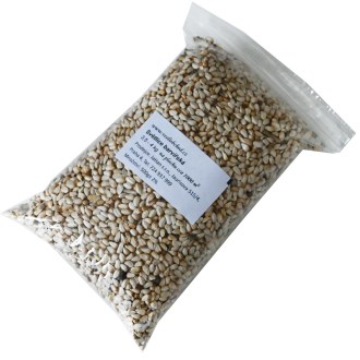 Svetlica farbiarska saflor (semená / včelia pastva) - 0,5 kg
