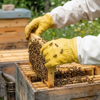 Rukavice včelárske - impregnované - veľ.: S-XXL