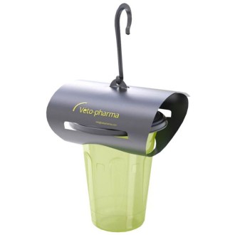 Pasca na ázijské sršne VespaCatch