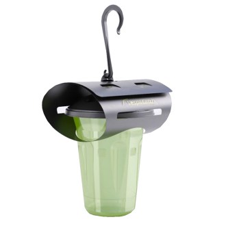 Pasca na ázijské sršne VespaCatch