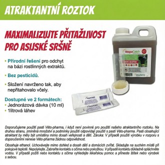 Pasca na ázijské sršne VespaCatch