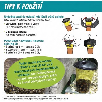 Pasca na ázijské sršne VespaCatch