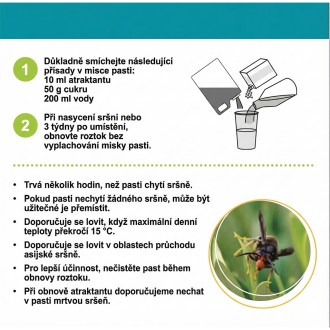 Pasca na ázijské sršne VespaCatch