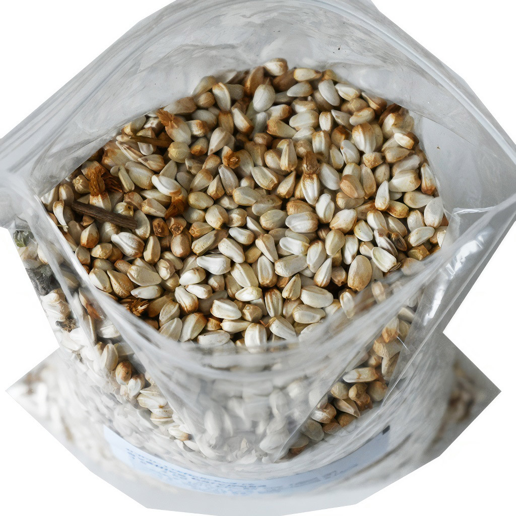 Svetlica farbiarska saflor (semená / včelia pastva) - 0,5 kg